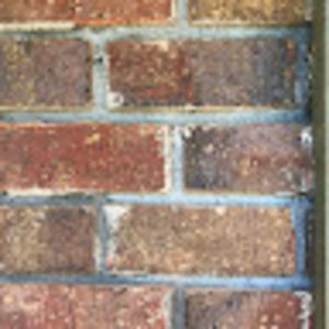 Meet your Posher, Elle